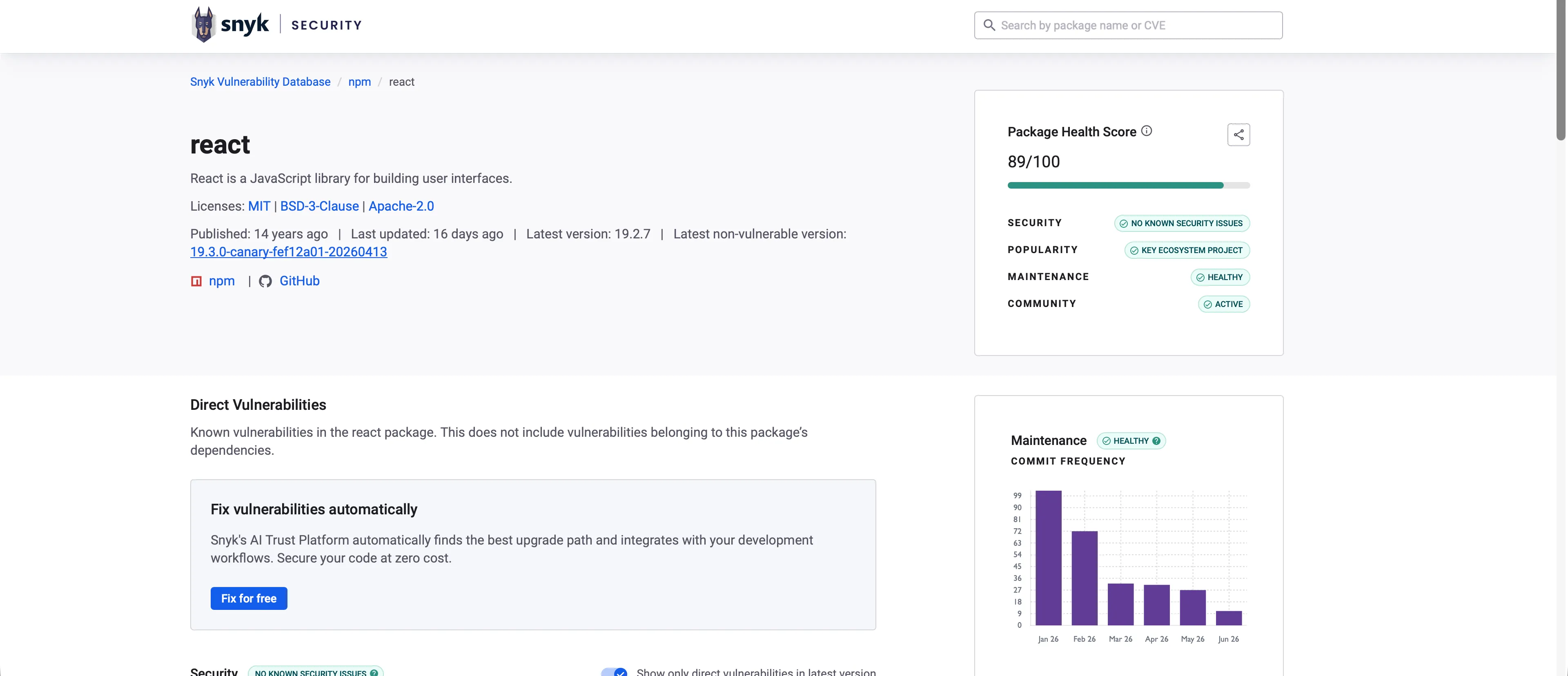 Snyk package lookup showing repository health and vulnerability details